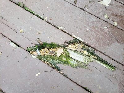 A Lesson in Safety: The Hidden Dangers of Unrepaired Decks